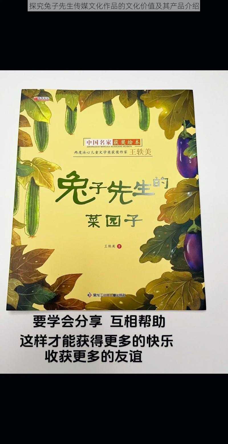 探究兔子先生传媒文化作品的文化价值及其产品介绍