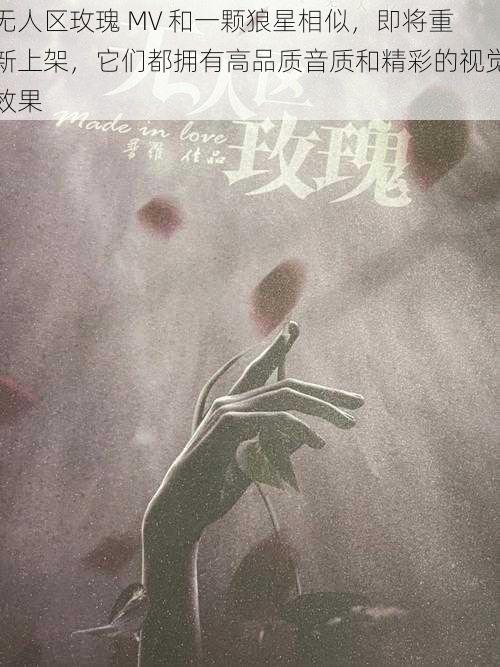 无人区玫瑰 MV 和一颗狼星相似,即将重新上架,它们都拥有高品质音质和精彩的视觉效果