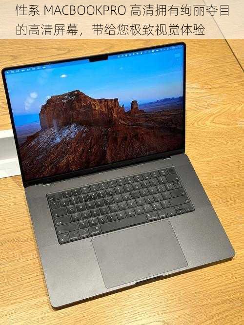 性系 MACBOOKPRO 高清拥有绚丽夺目的高清屏幕,带给您极致视觉体验