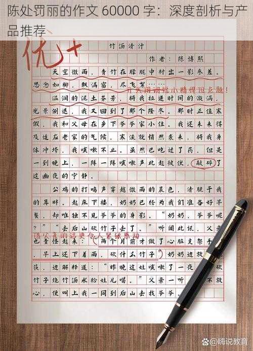 陈处罚丽的作文 60000 字:深度剖析与产品推荐