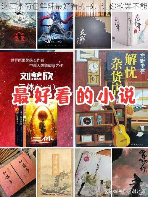 这三本荷包鲜辣最好看的书,让你欲罢不能