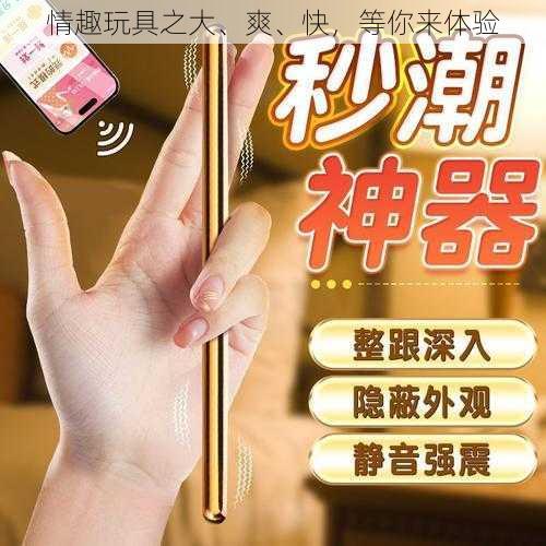 情趣玩具之大、爽、快,等你来体验